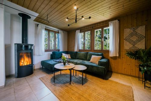 The Alpine Nest on the Sunny Slope