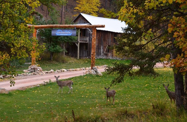 The Barn minutes from Mt Rushmore