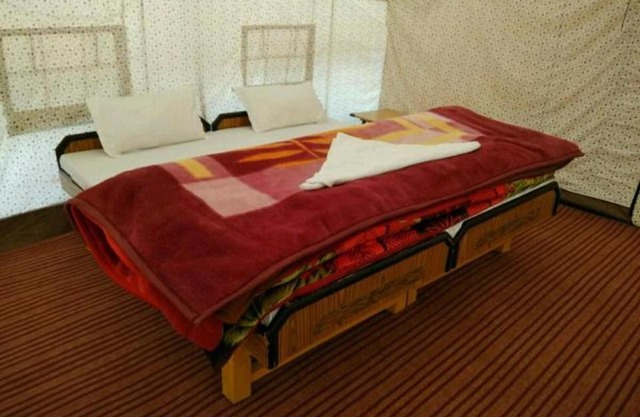 The Buddha Camp - Pangng