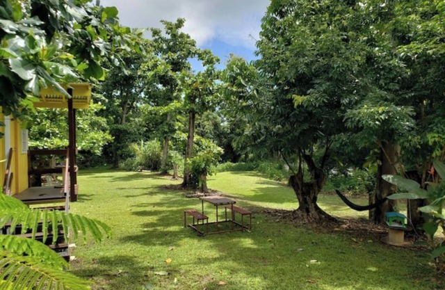The Casita Amarilla del Yunque & Buena Vibra