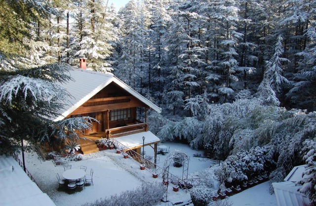 The Chalets Naldehra