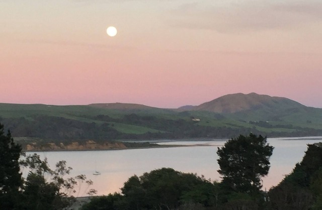 The Cliff House - Expansive Bay Views from an Open & Inviting House