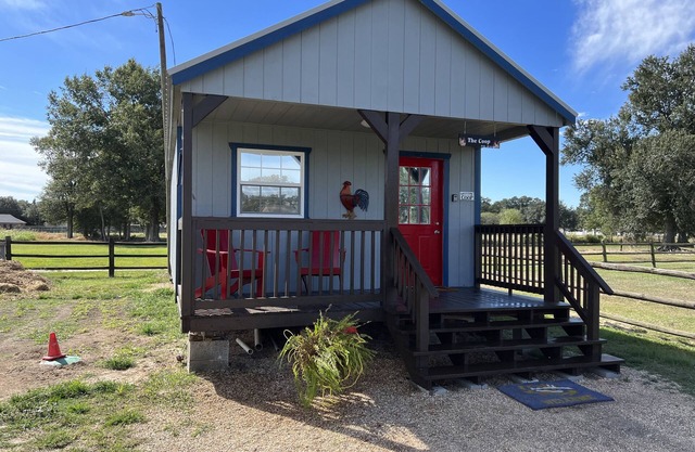 The Coop. A lil taste of country with horses and chickens.