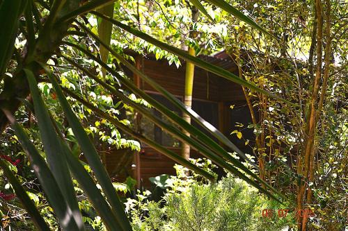 The Explorers Rest perfect for families or travelers -Welcome to Our Jungle