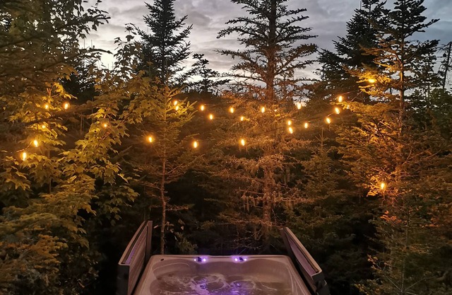 "The Eyrie" Your private Ocean View apartment
