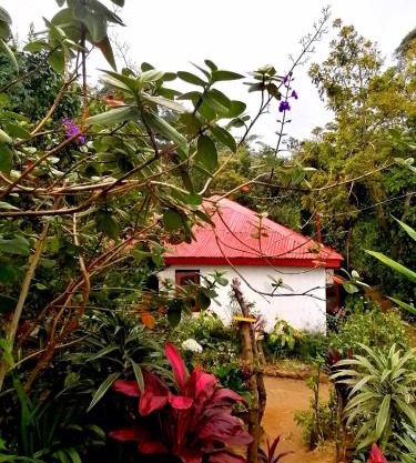The Jungle Life Homestay Thangamalay Sanctuary Haputale by Gisela Sivam
