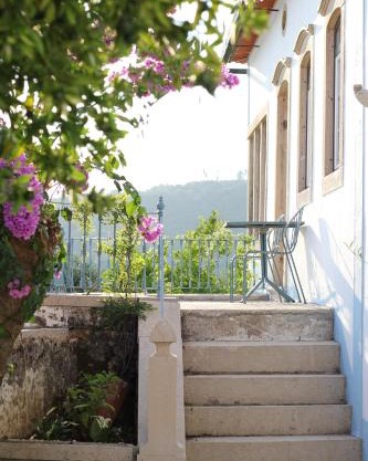 The Little Olive Quinta