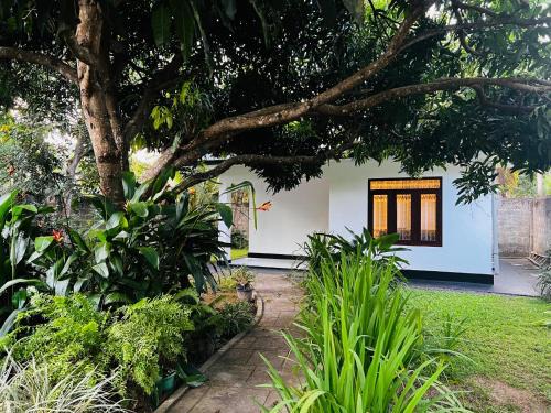 The Mango Retreat
