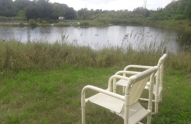 The Meadow - campsite (BYO tent)- park at site, pet and family friendly!