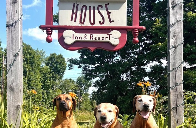 The Paw House Inn & Country Cottages
