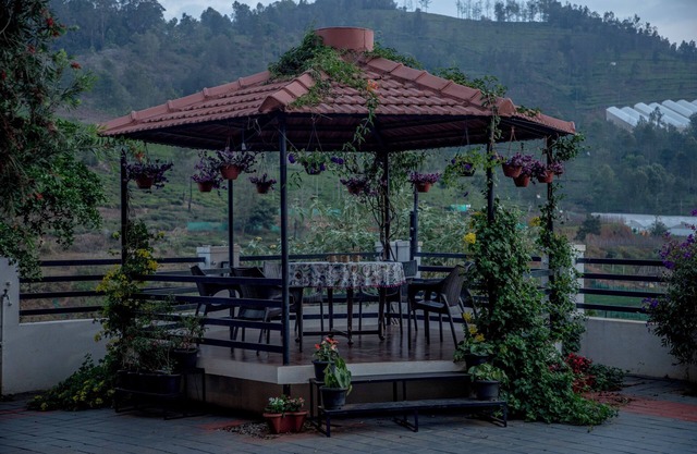 The Perfect Home Stay