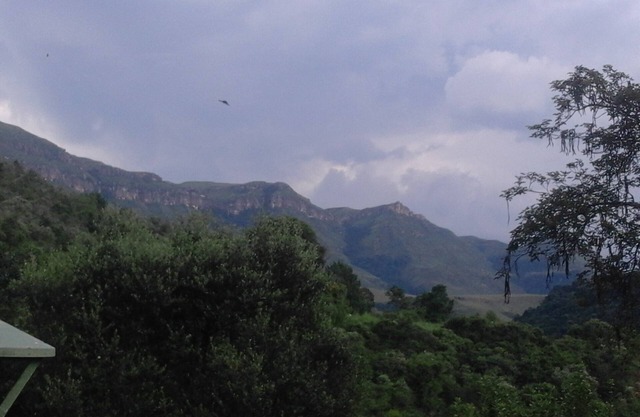 The perfect place for adventures to start