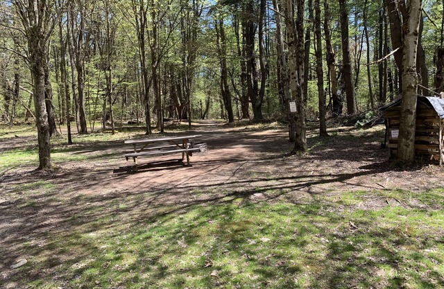 The Pines Hill Top. Bring your own tent or rent one for 35, setup 25.