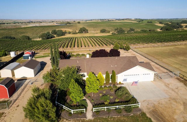 The Pinot Paradise Experience.