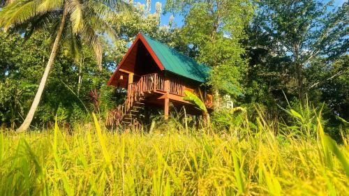 The Rock & Paddy Resort