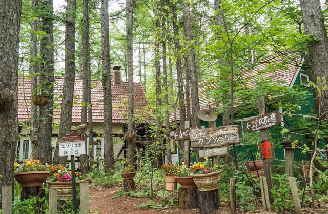 The squirrel's guesthouse Canterbury