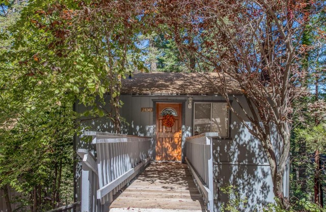 The Treehouse