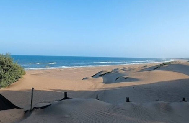 The Tropical Hut Lodges