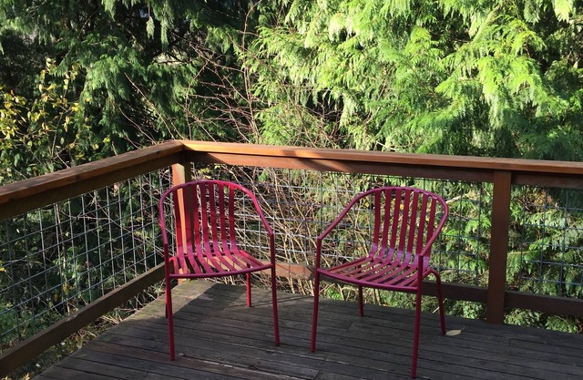 The Van Zandt Raven in the Mt Baker foothills