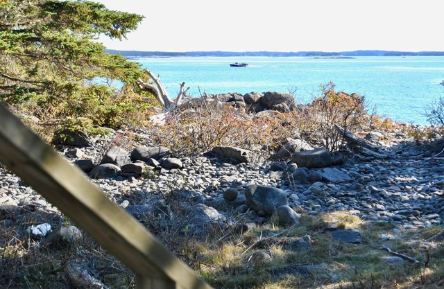 THE VERY BEST OCEANFRONT GLAMPING RETREAT IN DOWNEAST MAINE!⚓ 🌊 🐕