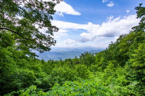 The Vision Mtn View Hot Tub Wood Fireplace