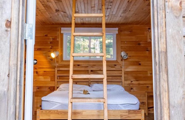 The Zzzz Moose Camping Cabins