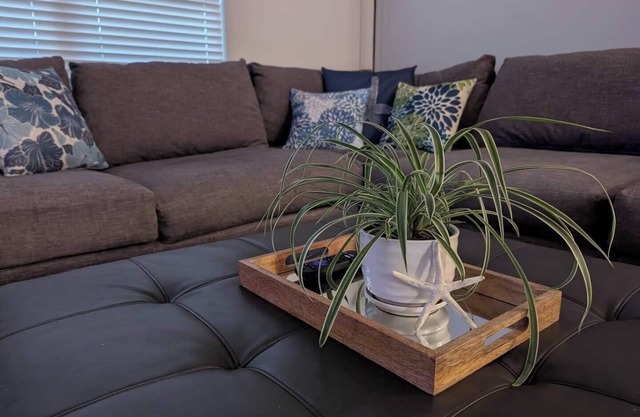 This house is a 3 bedroom(s), 2 bathrooms, located in Bellview, FL.