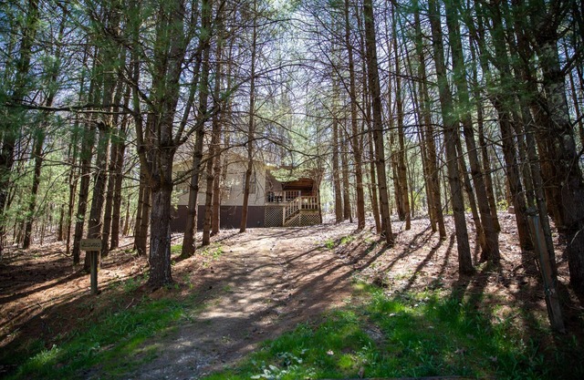Timberline Cabins - Dogwood Cottage - Hot Tub, Fireplace