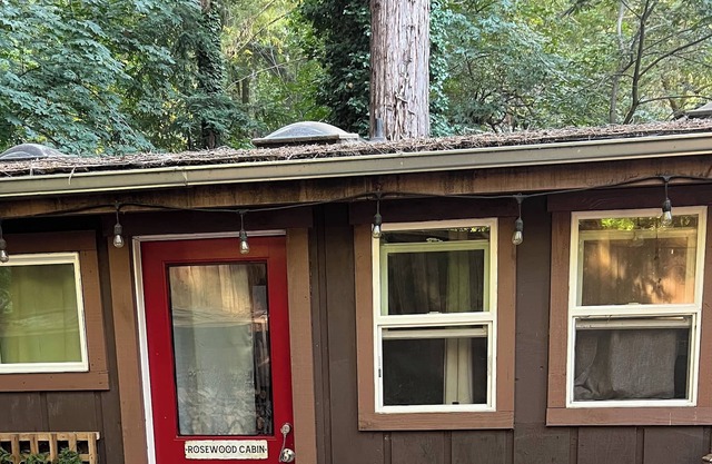 Tiny Art House in the Santa Cruz Mountains