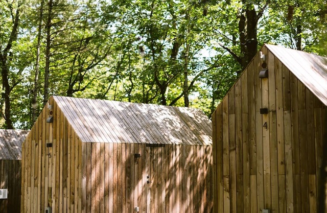 Tiny Cabin in the Woods