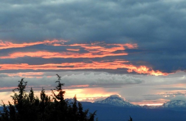 Tiny House in beautiful Central Oregon, Powell Butte, Oregon