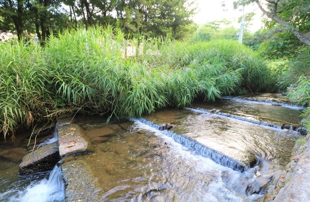 Tiny house where the river of Izu flows/Ito Shizuoka