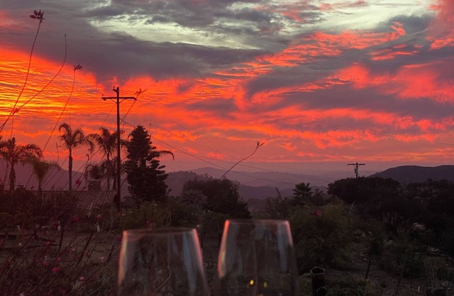 Top San Diego Vineyard and Winery minutes from Downtown