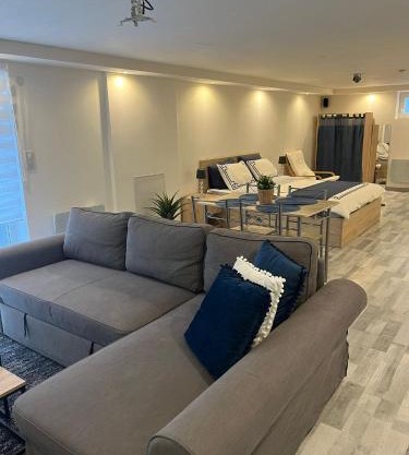 Très bel appartement type loft de 40 m2 dans maison avec parking privatif