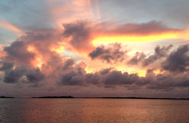 TRANQUILITY ON TIERRA VERDE