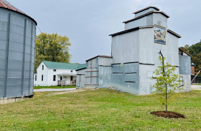 Treehouse on the Katy Trail - Bur Oak