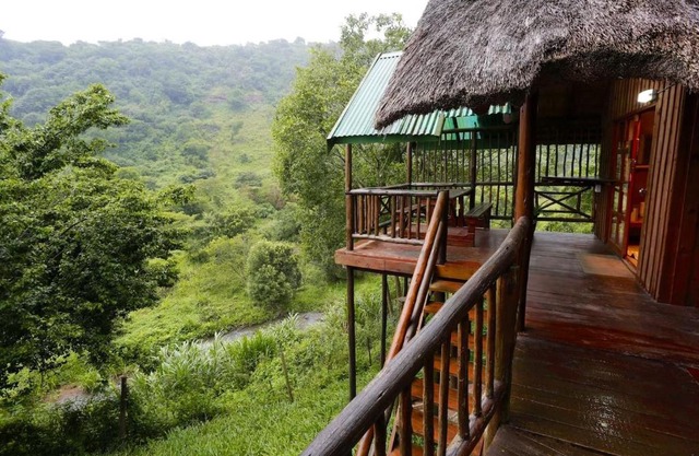 Treehouse River Lodge