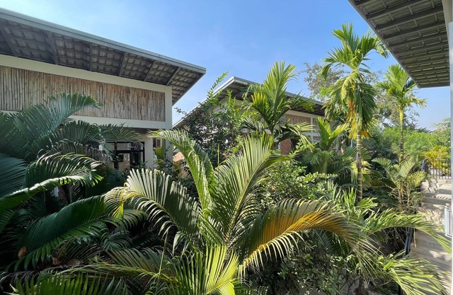 Treetop Bungalows