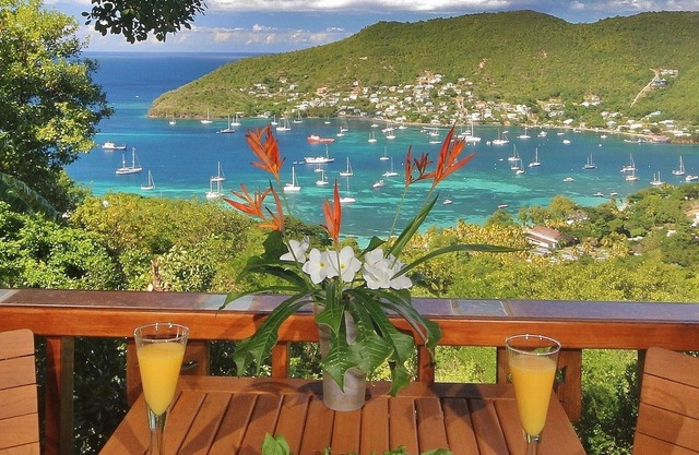 Tropical Hideaway Palm Cottage - Stunning Views - 5* Boutique Accommodation