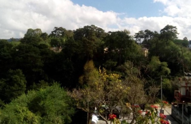 Troya Home Stay - Not a Hotel! Stay in a Home!