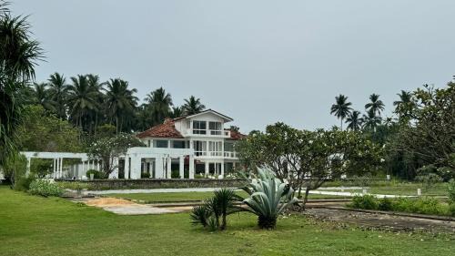 Turtlepoint Luxe Villa