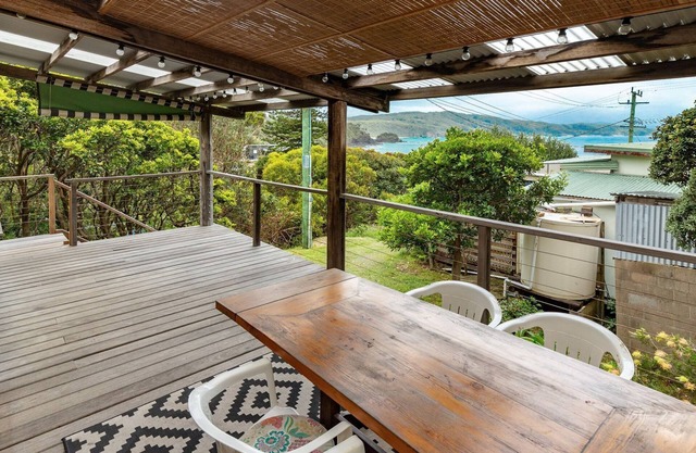 Two Many Birds - Seal Rocks