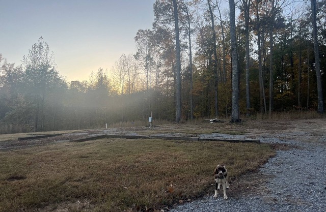 Two RV Sites; 1 Full, 1 Water/Electric Only