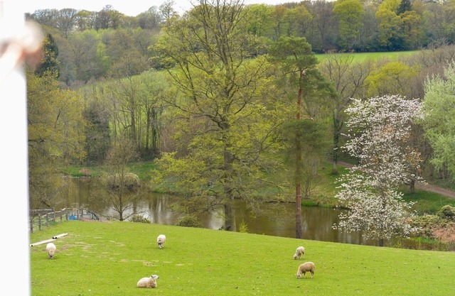 Twyford Farm B&B