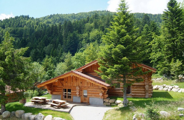 Unique à La Bresse chalet rondins de 220 m², groupe, famille, wifi, proche pistes