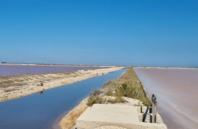 Unique stays in the heart of Puglia - Live like a local 3km from the sea