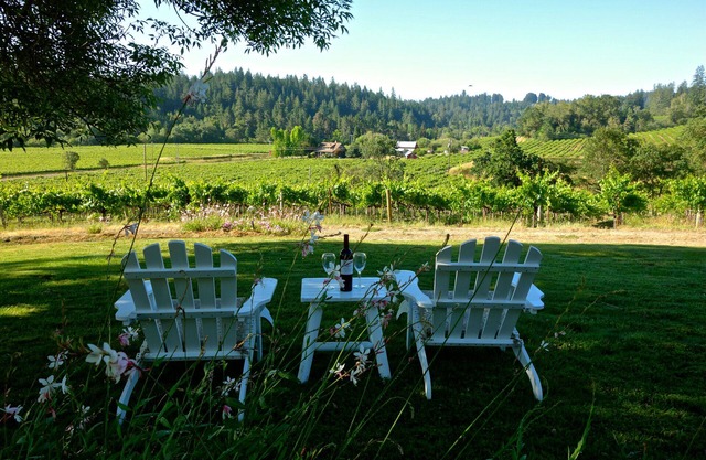 Unsurpassed Views Indoors And Out On This 3-Acre Vineyard Estate