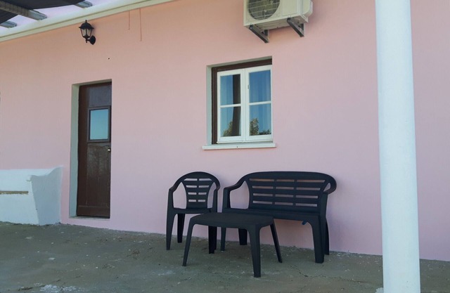 V1 in rural environment