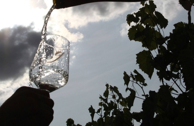 Vacation apartment Rheinhessen with 60sqm, 2 bedrooms, 1 living/bedroom, max. 6 persons