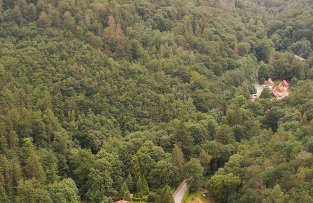 Vacation apartment Ferienhäuser am Brocken, 60 sqm 2 bedrooms